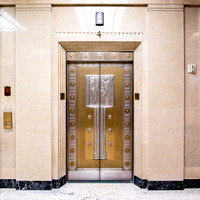 Bronze and nickle elevator door the center metal relief.