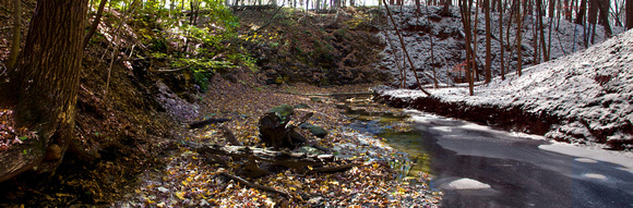 Seasons at a Creek