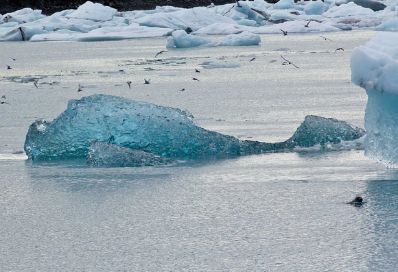 Iceberg Iceland